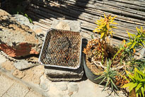 Der Minigrill unbenannt_01_v15.jpg