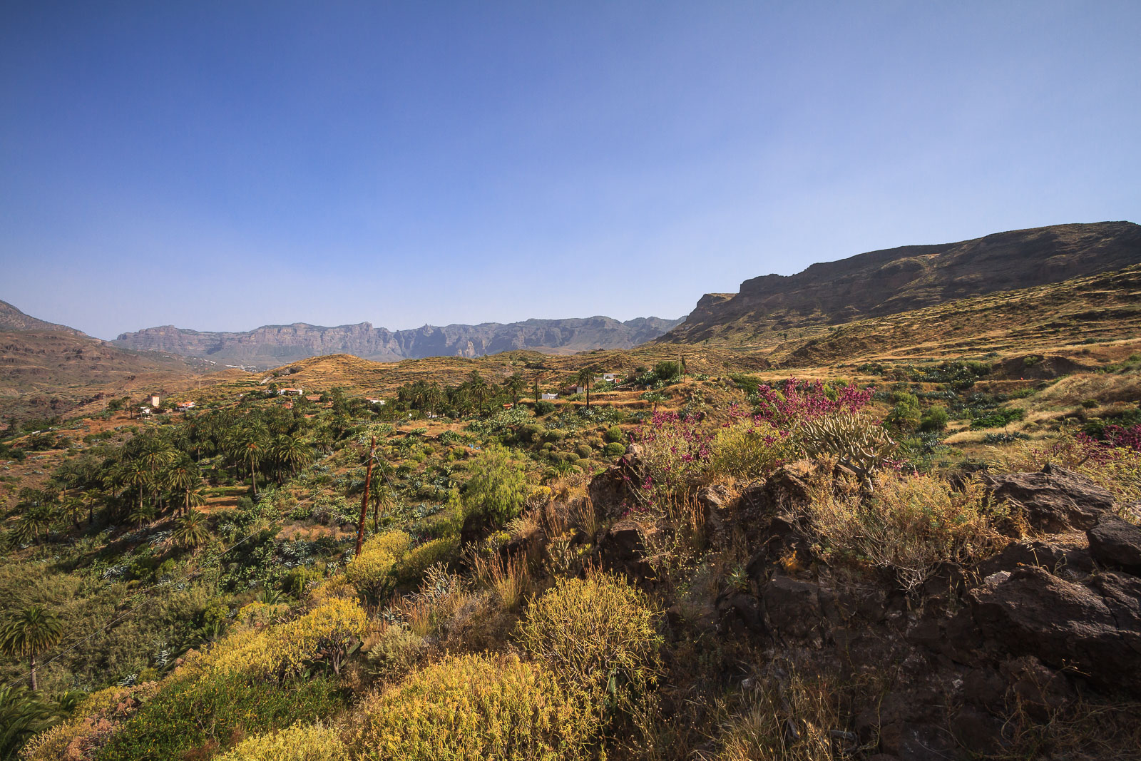 2010-06-01_Gran-Canaria_1692.jpg