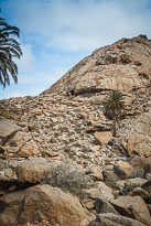Palmeral de Buen Paso unbenannt_01_v25.jpg