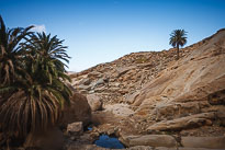 Palmeral de Buen Paso unbenannt_01_v30.jpg