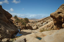 Palmeral de Buen Paso unbenannt_01_v32.jpg
