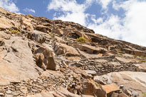 Palmeral de Buen Paso unbenannt_01_v36.jpg