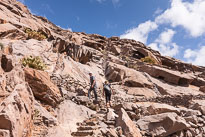 Palmeral de Buen Paso unbenannt_01_v38.jpg