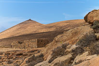 Palmeral de Buen Paso unbenannt_01_v40.jpg