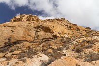 Palmeral de Buen Paso unbenannt_01_v41.jpg
