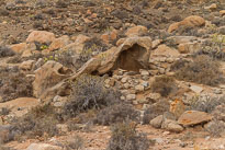 Palmeral de Buen Paso unbenannt_01_v44.jpg