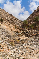 Palmeral de Buen Paso unbenannt_01_v45.jpg