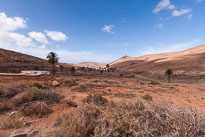Palmeral de Buen Paso unbenannt_01_v46.jpg