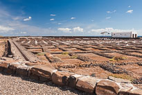 unbenannt_01_v15.jpg unbenannt_01_v15.jpg