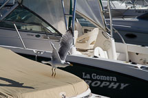 Puerto Calero unbenannt_01_v28.jpg