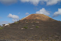 unbenannt_01_v32.jpg unbenannt_01_v32.jpg