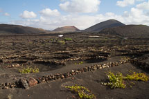 unbenannt_01_v34.jpg unbenannt_01_v34.jpg