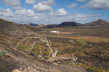 unbenannt_01_v35.jpg unbenannt_01_v35.jpg