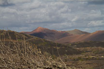 unbenannt_01_v37.jpg unbenannt_01_v37.jpg