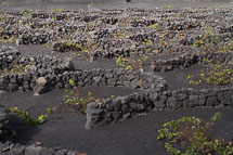 unbenannt_01_v39.jpg unbenannt_01_v39.jpg