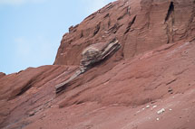 unbenannt_01_v46.jpg unbenannt_01_v46.jpg