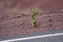 unbenannt_01_v48.jpg unbenannt_01_v48.jpg