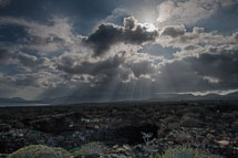 unbenannt_01_v98.jpg unbenannt_01_v98.jpg