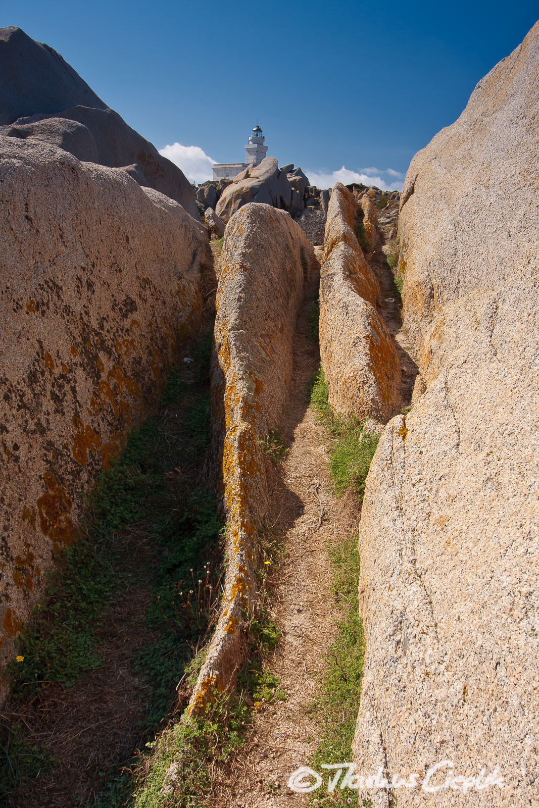 20110922_120106_Sardinien_2753.jpg