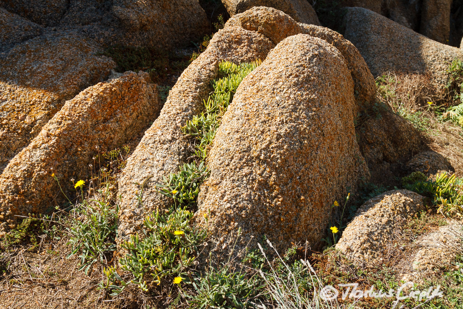 20110922_121540_Sardinien_1410.jpg