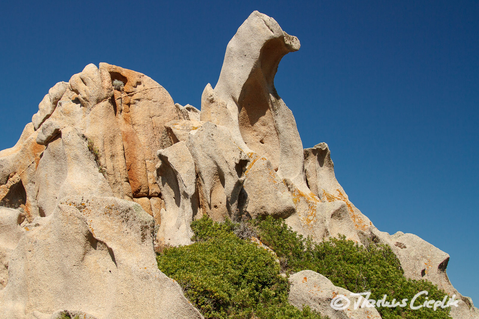 20110922_124652_Sardinien_1442.jpg