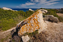 20110922_112232_Sardinien_2695.jpg