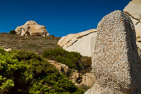 20110922_114955_Sardinien_1369.jpg