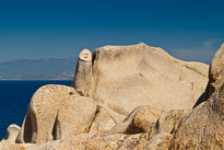 20110922_115347_Sardinien_1379.jpg