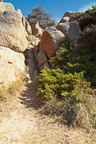 20110922_120106_Sardinien_1390.jpg 20110922_120106_Sardinien_1390.jpg