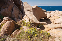 20110922_121402_Sardinien_2773.jpg 20110922_121402_Sardinien_2773.jpg