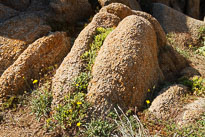 20110922_121540_Sardinien_1410.jpg 20110922_121540_Sardinien_1410.jpg