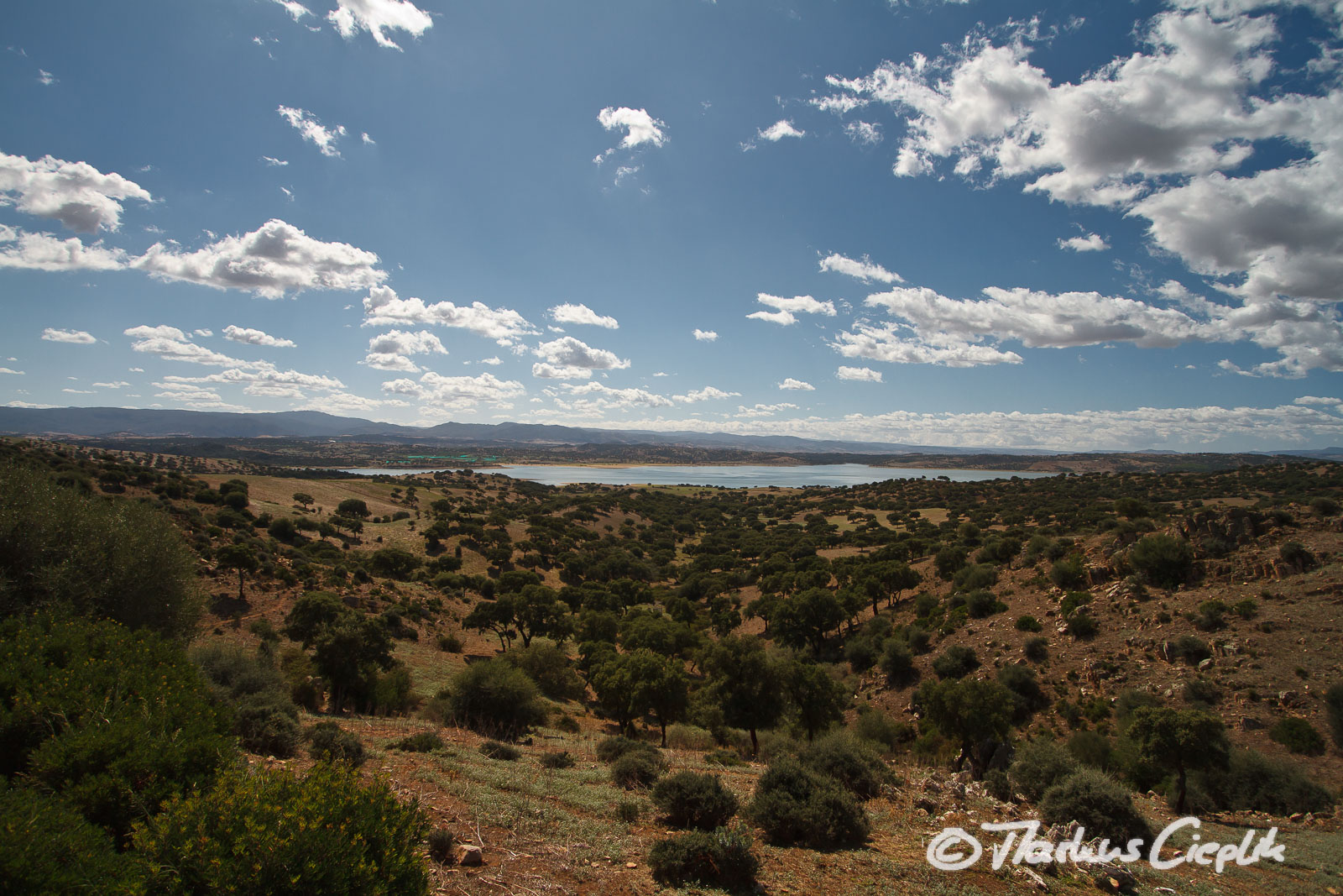 20110920_122811_Sardinien_1219.jpg