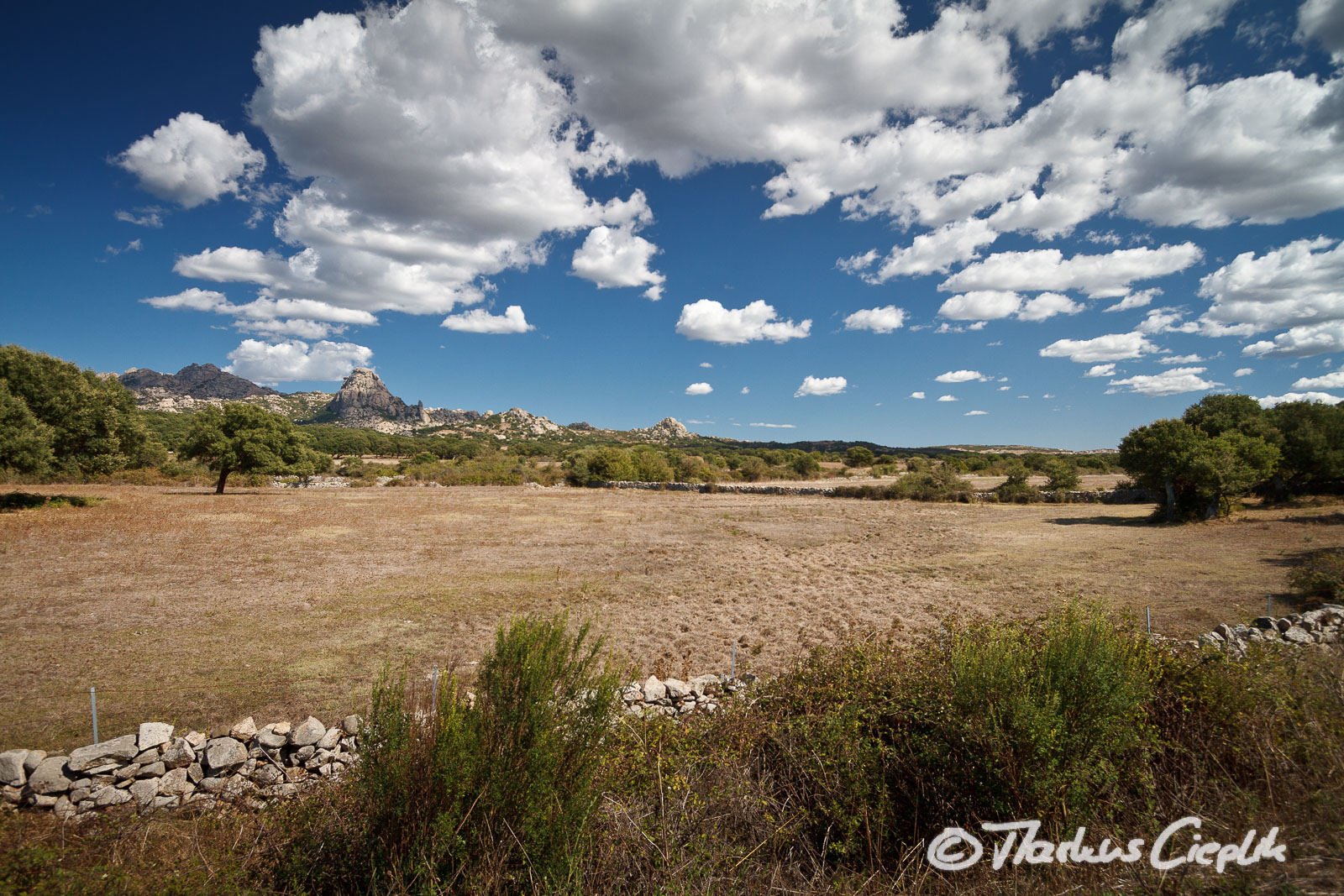 20110920_134016_Sardinien_1223.jpg