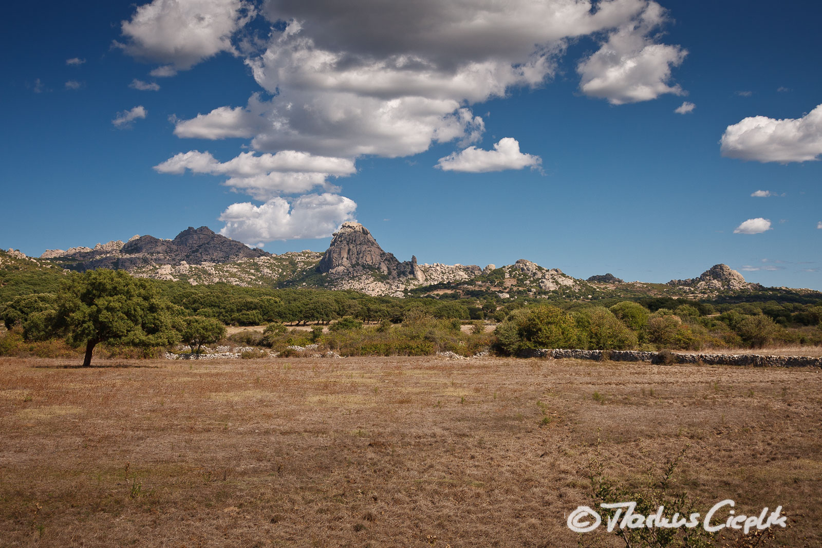 20110920_134055_Sardinien_2594.jpg