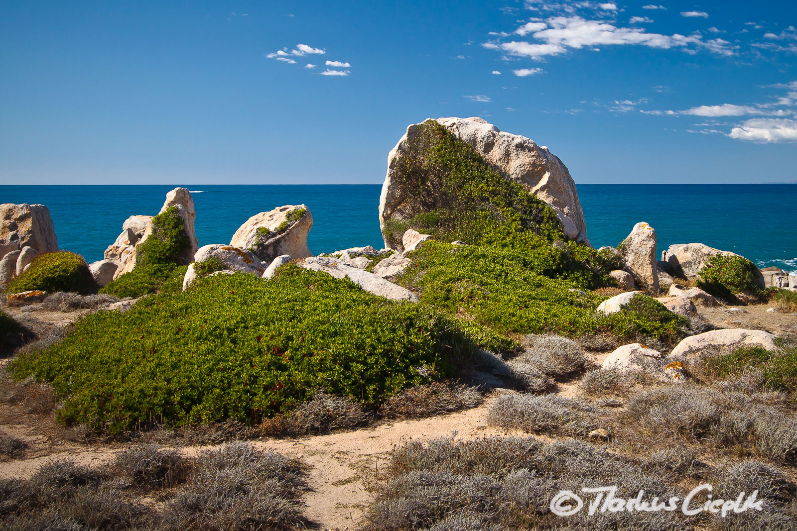 20110920_153754_Sardinien_1282.jpg