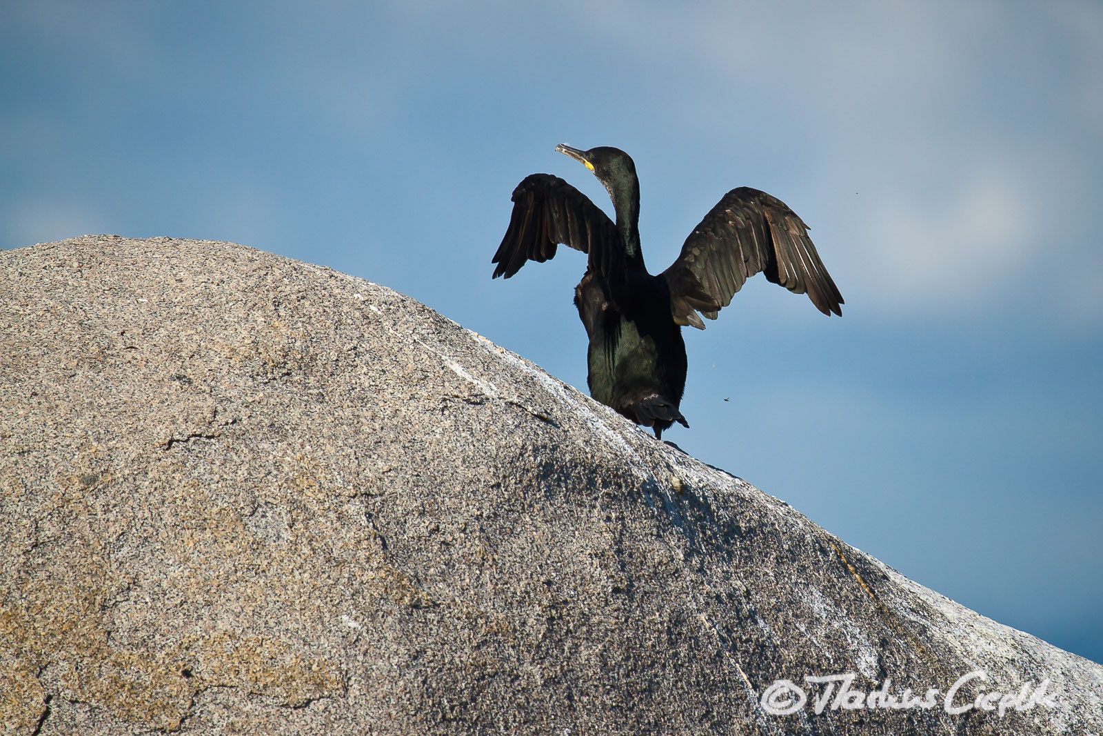 20110920_154345_Sardinien_1308.jpg