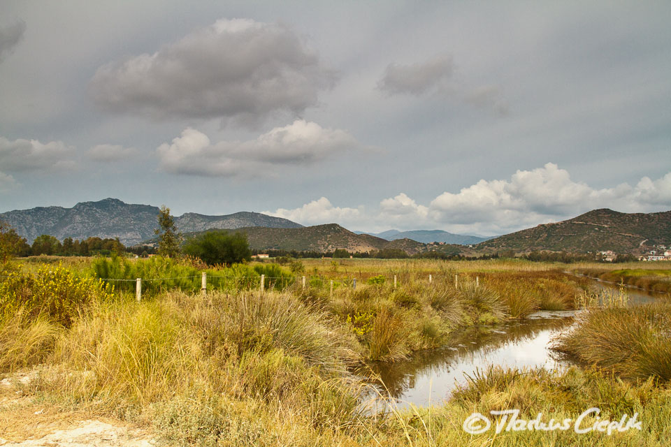 20110924_105930_Sardinien_1516.jpg