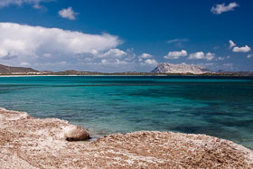 20110919_105137_Sardinien_2523.jpg