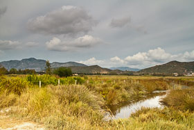 20110924_105930_Sardinien_1516.jpg